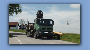 Maibaum-2013 (19).jpg